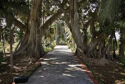 Tour_image_2