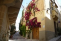 Tour_image_3